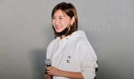 何小疯第三季最新爆料,揭秘全新剧情，精彩爆料抢先看！